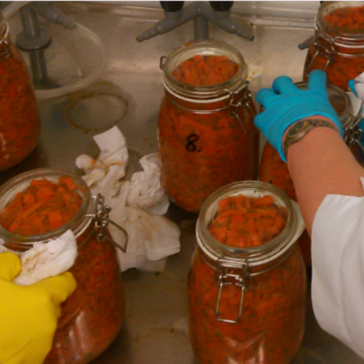 Elintarviketeollisuuden kasvisivuvirtoja ja niiden hyödyntämistapoja Cirwaste-hankkeesta