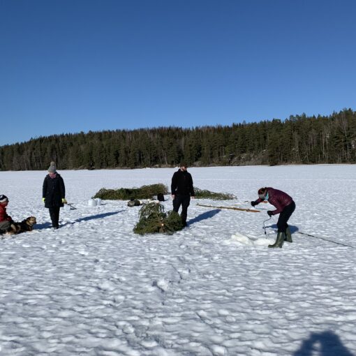 Henkilö kairaa avantoa aurinkoisella järven jäällä. Kolme henkilöä ja koira katselevat sivummalla. Taustalla jäällä on yksittäisiä kuusia.