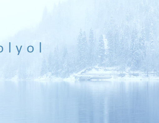 Inosence Polyol Oy:n kansikuva