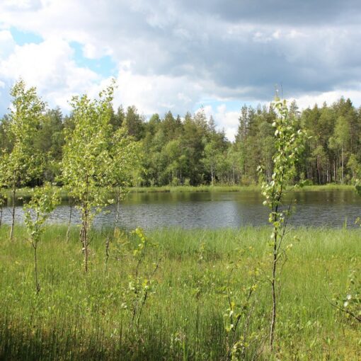 Joonaanlampi Ylivieskasssa