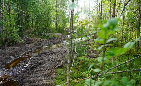 Puro,jonka ympärillä mutainen uoma ja vihreää kasvillisuutta.