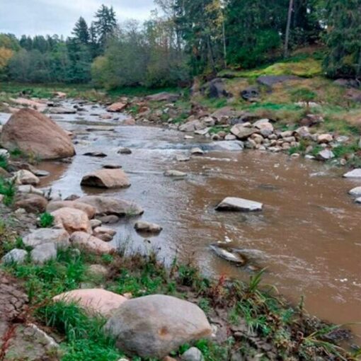 Myllypadon poistamisen seurauksena paljastunutta vanhaa koskialuetta. Kuva: Varsinais-Suomen ELY-keskuksen kuvakirjasto
