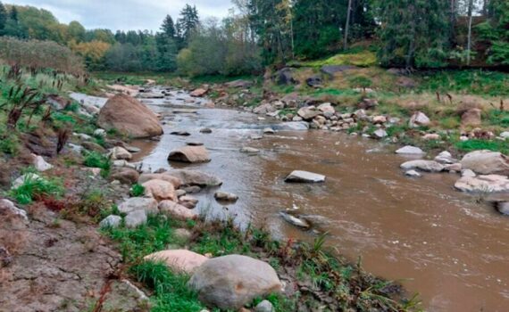 Myllypadon poistamisen seurauksena paljastunutta vanhaa koskialuetta. Kuva: Varsinais-Suomen ELY-keskuksen kuvakirjasto