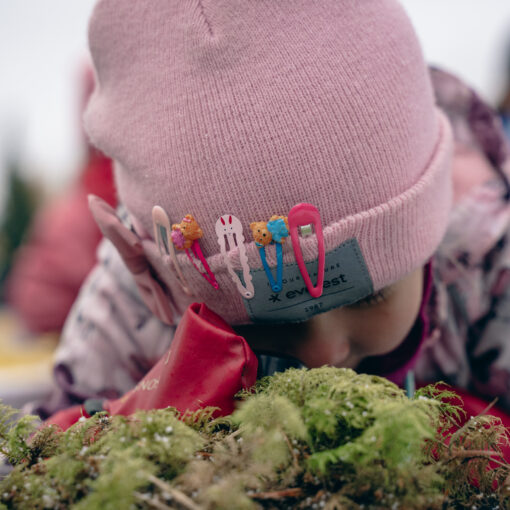 "Viskari" viisivuotiaiden esiopetusryhmäläinen tutkii luupilla rahkasammaleen rakennetta. Päässä vaaleanpunainen pipo.