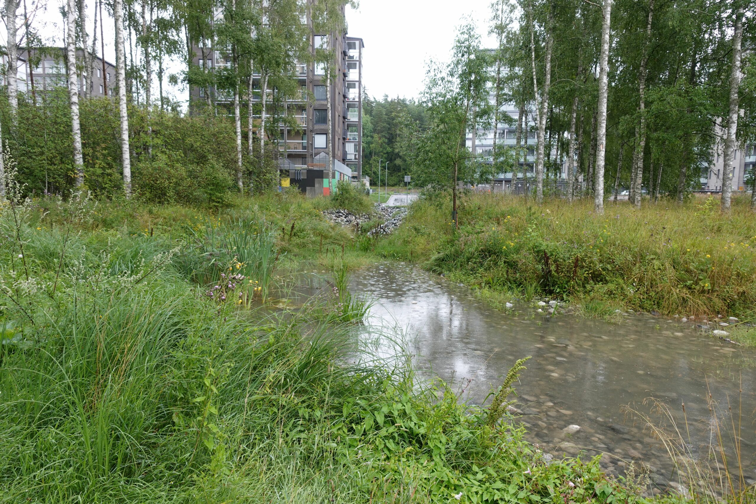 Turun P skyvuorenrinteen Luontopohjainen Hulevesiratkaisu 